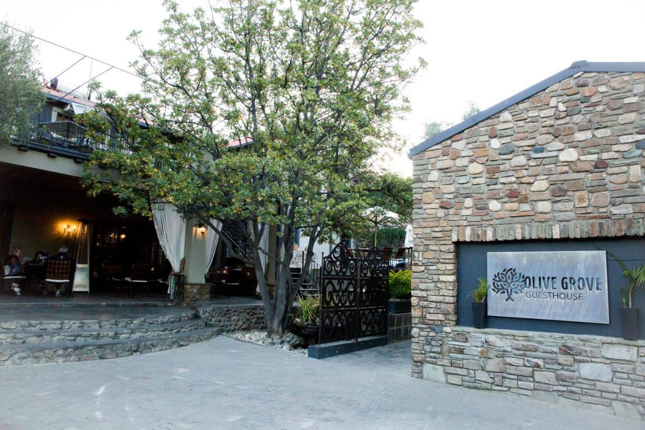 Olive Grove Guesthouse Windhoek Exterior photo
